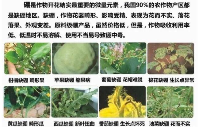 QQ截圖20200407144029.jpg