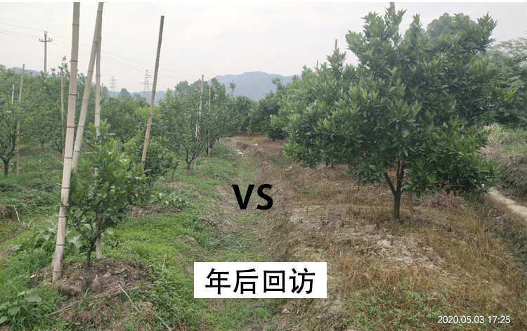 豐收對(duì)比03.jpg