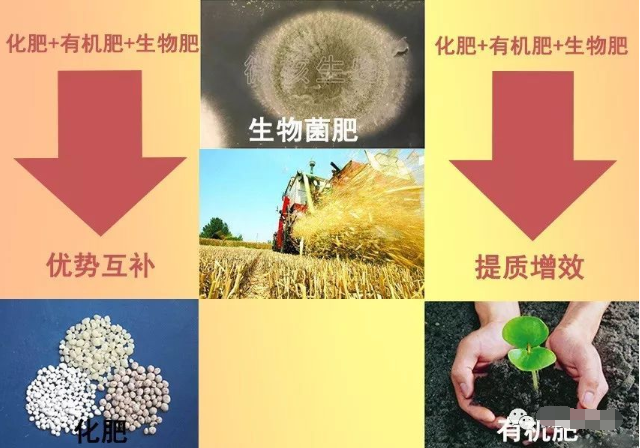 QQ截圖20200629145612.png