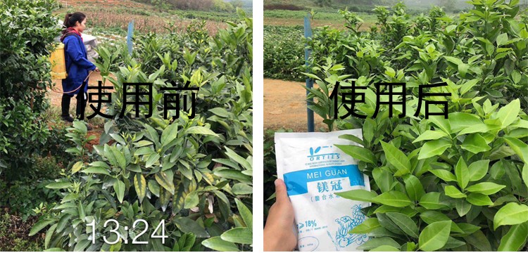 使用鎂.jpg