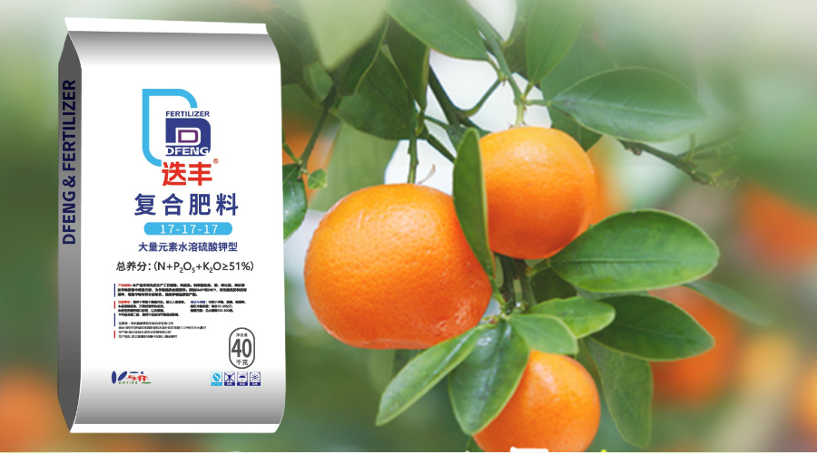 簡單手繪風(fēng)處暑主題橫版海報__2024-07-31+15_27_42.jpg