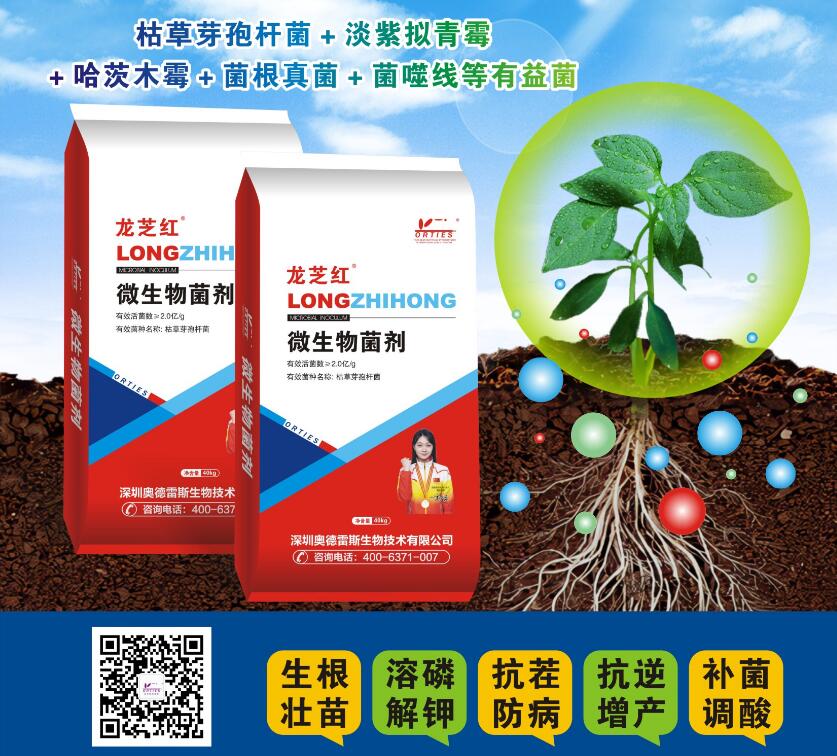 QQ截圖20240815173324.jpg