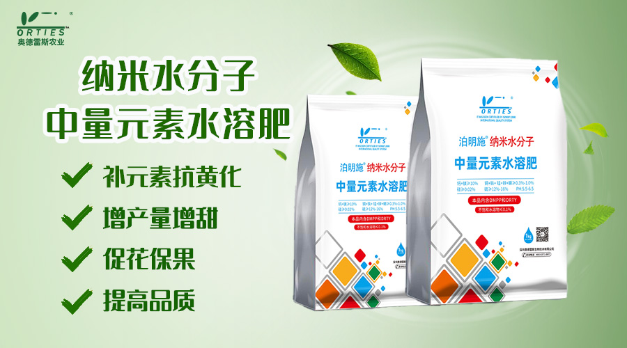 納米水分子.jpg