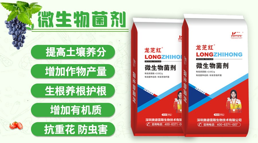 公眾號橫幅海報(bào).jpg
