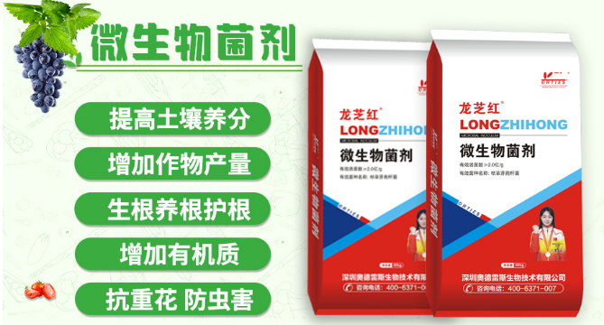 微信圖片_20240923164001.png